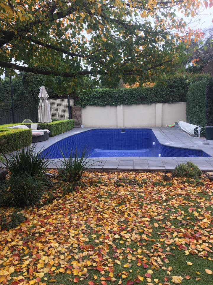 Hawthorn - Adelaide Pool Solutions